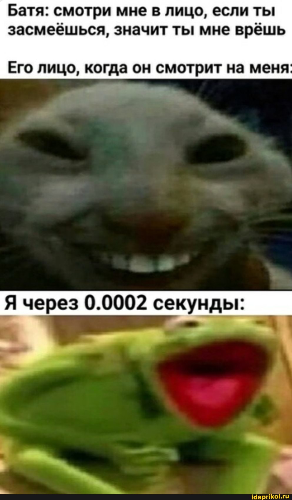 Батя: смотри мне в лицо, если ты засмеёшься, значит ты мне врёшь
Его лицо, когда он смотрит на меня
Я через 0.0002 секунды: