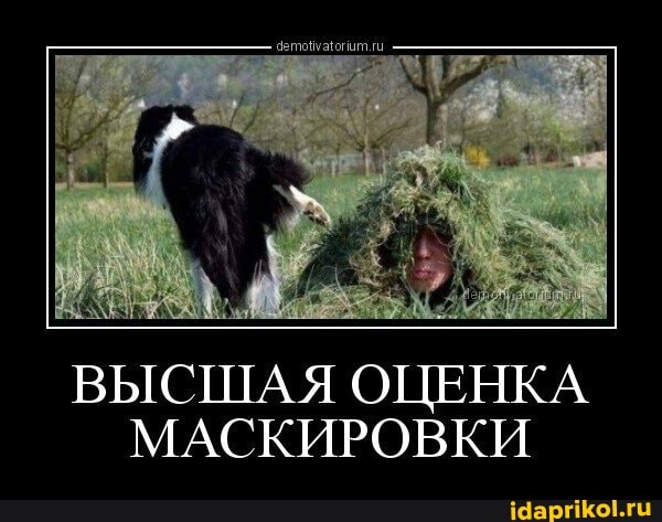 ВЫСШАЯ ОЦЕНКА МАСКИРОВКИ