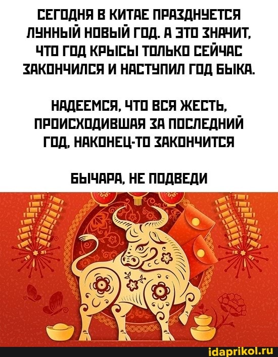 СЕГОДНЯ В КИТАЕ ПРАЗДНУЕТСЯ ЛУННЫЙ НОВЫЙ ГОД. А ЭТО ЗНАЧИТ,
ЧТО ГОД КРЫСЫ ТОЛЬКО СЕЙЧАС ЗАКОНЧИЛСЯ И НАСТУПИЛ ГОД БЫКА.
НАДЕЕМСЯ, ЧТО ВСЯ ЖЕСТЬ,
ПРОИСХОДИВШАЯ ЗА ПОСЛЕДНИЙ ГОД, НАКОНЕЦ-ТО ЗАКОНЧИТСЯ
БЫЧАРА, НЕ ПОДВЕДИ