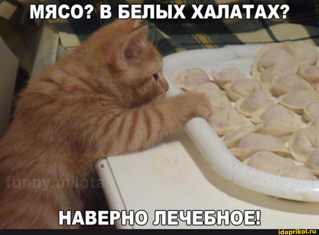 МЯСО? В БЕЛЫХ ХАЛАТАХ?
НАВЕРНОЛЕЧЕБНОЕ!