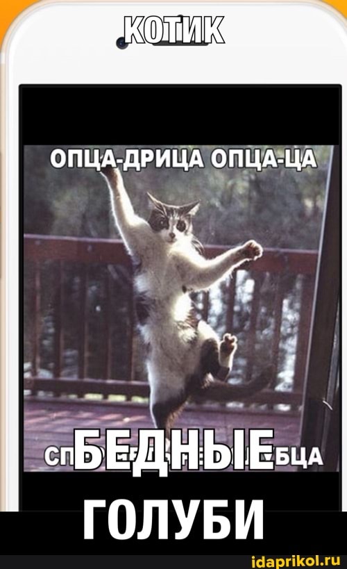 ШИК
ОПЦА-ДРИЦА ОПЦА-ЦА
"БЕДНЫЕ ГОЛУБИ