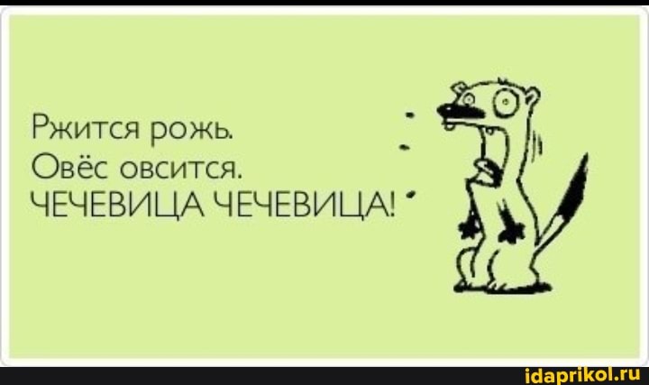 рожь,
Овёс овсится.
ЧЕЧЕВИЦА ЧЕЧЕВИЦА!