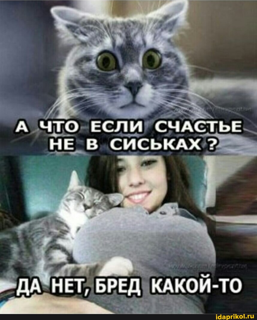 Мега грудь требует внимания 