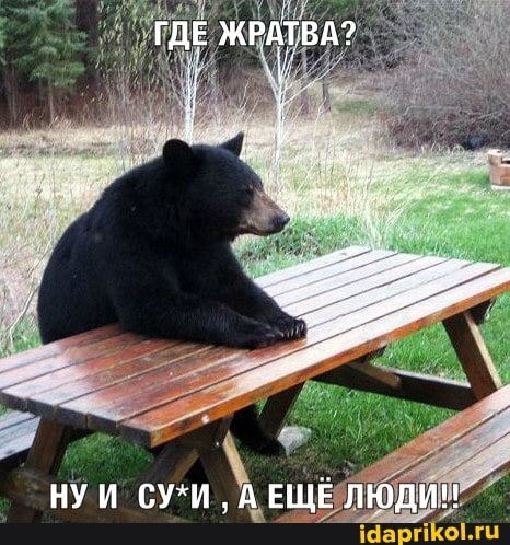 ГДЕ ЖРАТВА?
НУ И СУ*И А ЕЩЕ ЛЮДИН
