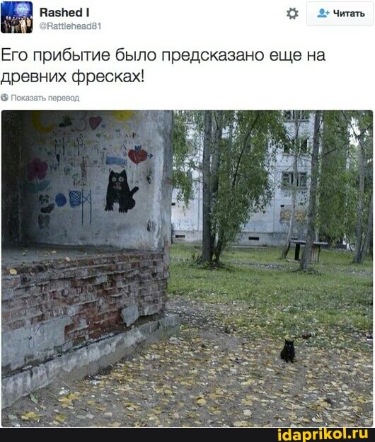 Его прибытие было предсказано еще на древних фресках!
Показать перевод