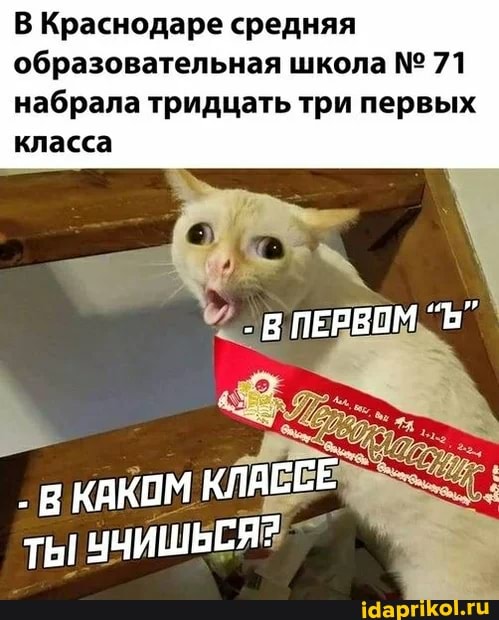 В Краснодаре средняя образовательная школа 71 набрала тридцать три первых
ПЕРВОМ
КАКОМ КЛАССЕ
ТЫ УЧИШЬСЯ?