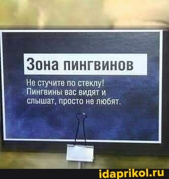 Зона пингвинов
'Не стучите по стеклу!
'ПИнГВИНЫ вас видят и слышат, просто не любят.
