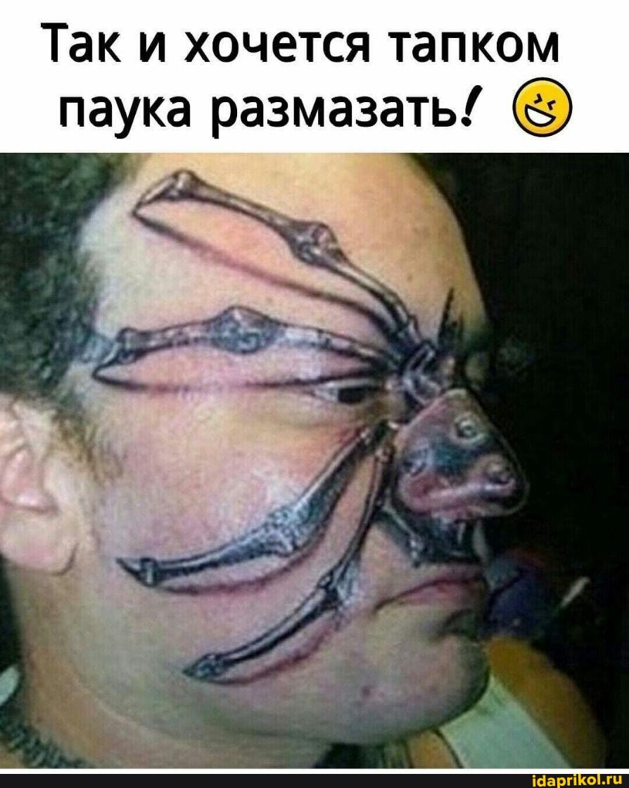 Так и хочется тапком паука размазать/