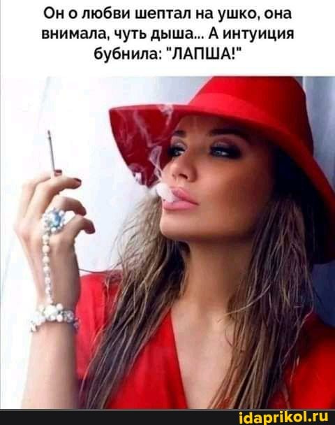 Он о любви шептал на ушко, она внимала, чуть дыша... А интуиция бубнила: "ЛАПША!"