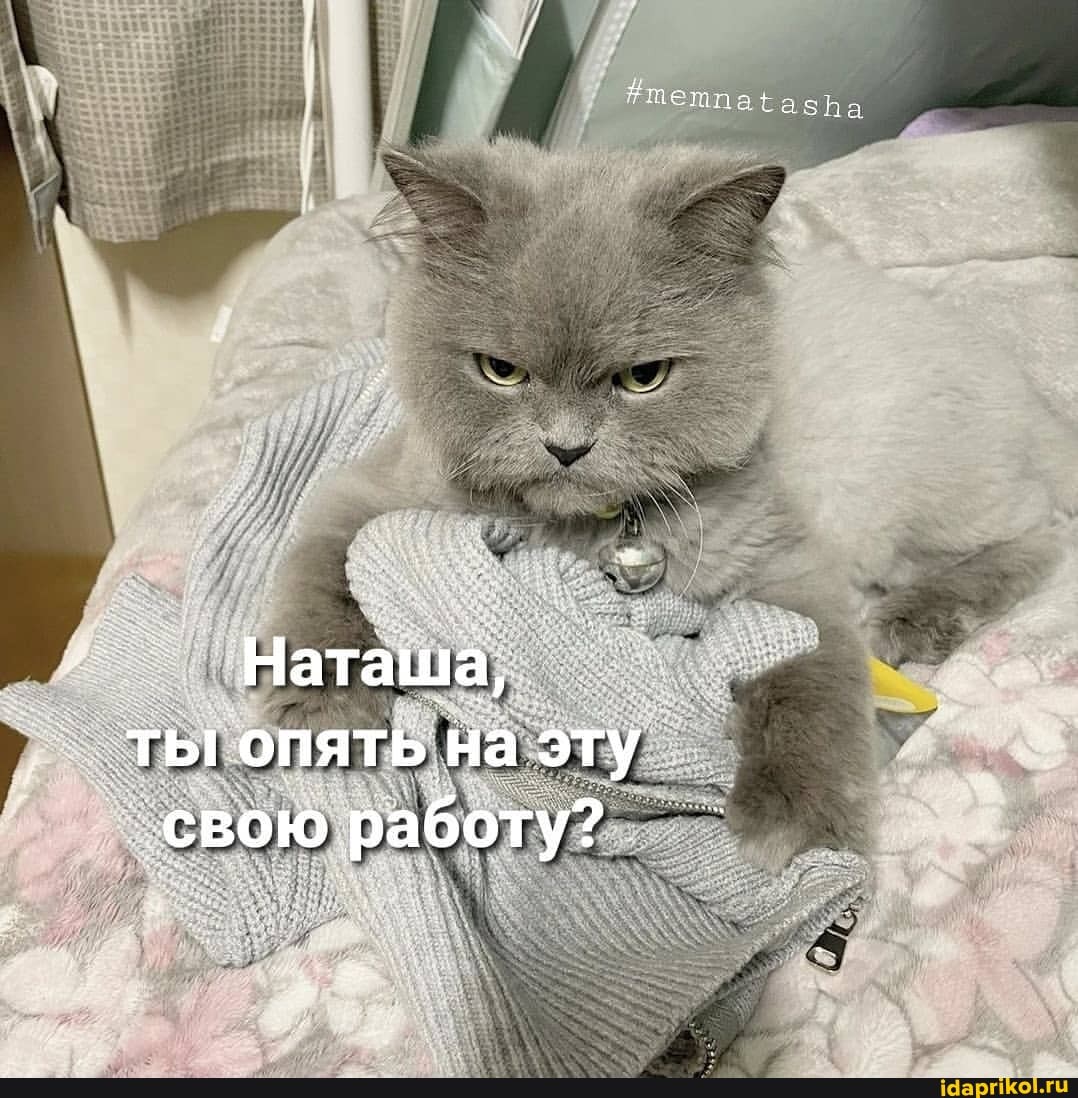 Наташа,
_ ты опять на эту свою работу?