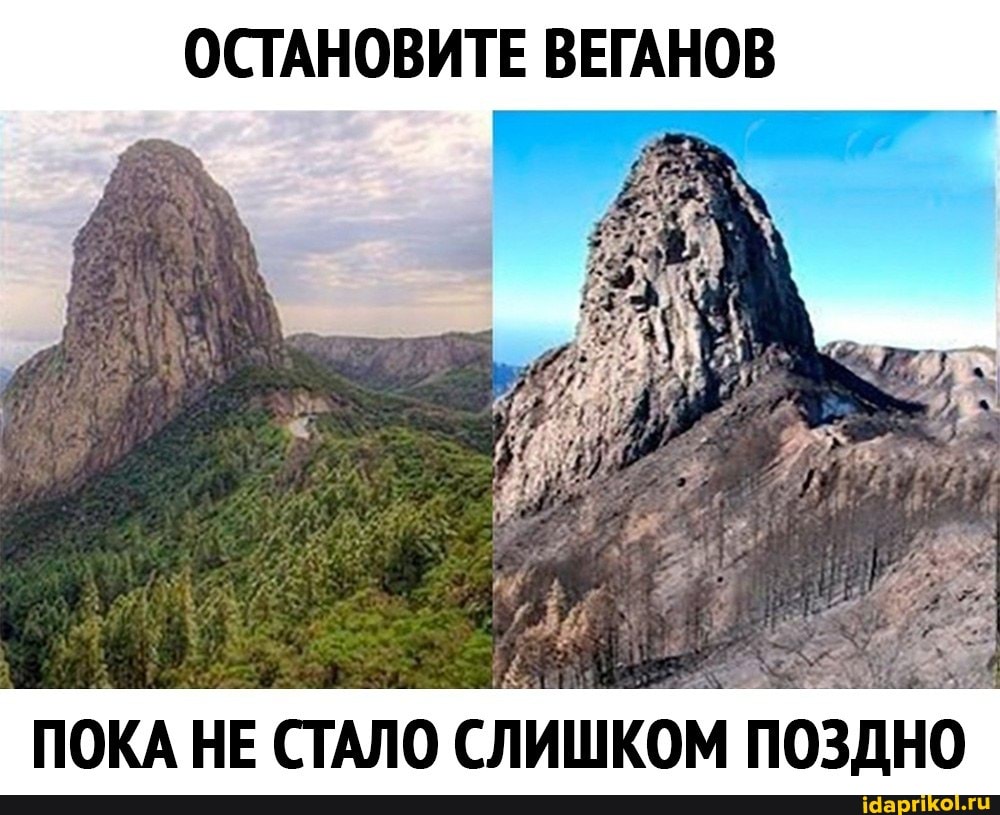 ОСТАНОВИТЕ ВЕГАНОВ
ПОКА НЕ СТАЛО СЛИШКОМ ПОЗДНО.
