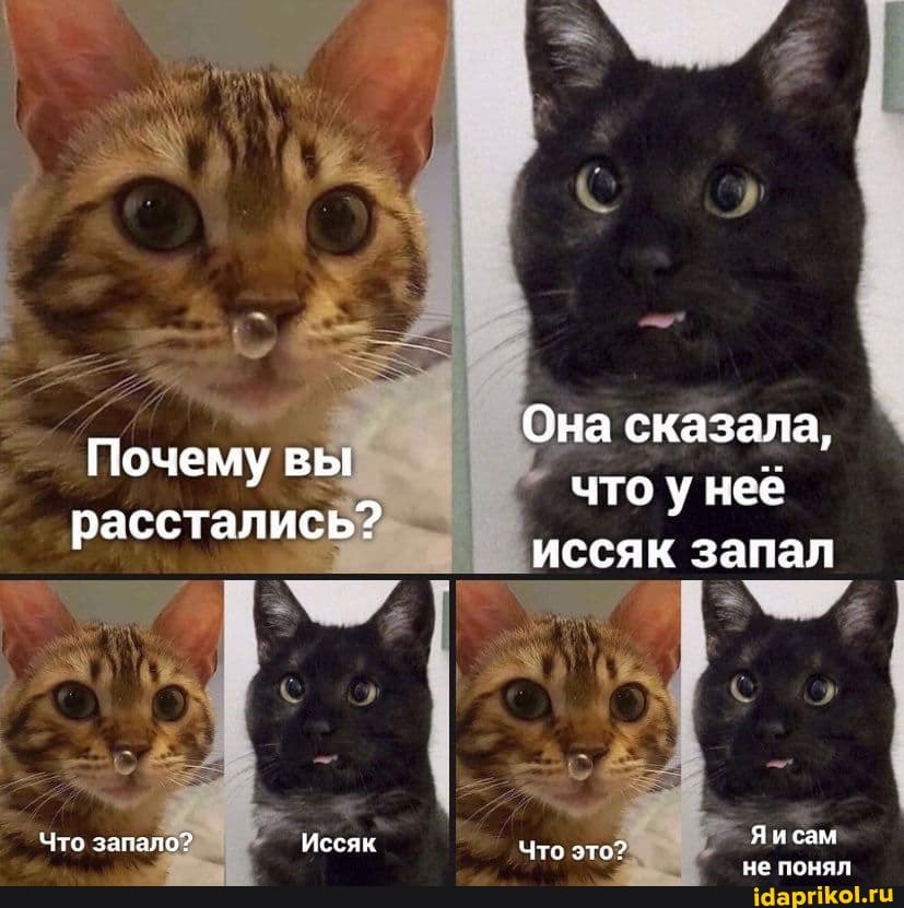 Почему вы
расстались?
Что запало?
Иссяк
Она сказала, что у нее иссяк запал
Яисам не понял
Чте это?