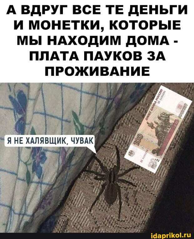 А ВДРУГ ВСЕ ТЕ ДЕНЬГИ И МОНЕТКИ, КОТОРЫЕ МЫ НАХОДИМ ДОМА -
ПЛАТА ПАУКОВ ЗА ПРОЖИВАНИЕ