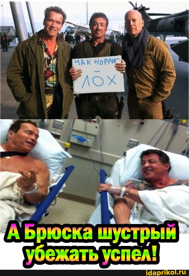 ТА 'Брюска шустрый} убежать успел!