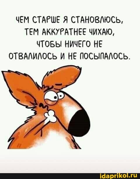 ЧЕМ СТАРШЕ Я СТАНОВЛЮСЬ,
ТЕМ АККУРАТНЕЕ ЧИХАЮ,
ЧТОБЫ НИЧЕГО НЕ ОТВАЛИЛОСЬ И НЕ ПОСЫПАЛОСЬ.