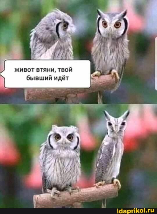 хи
живот втяни, твой бывший идет