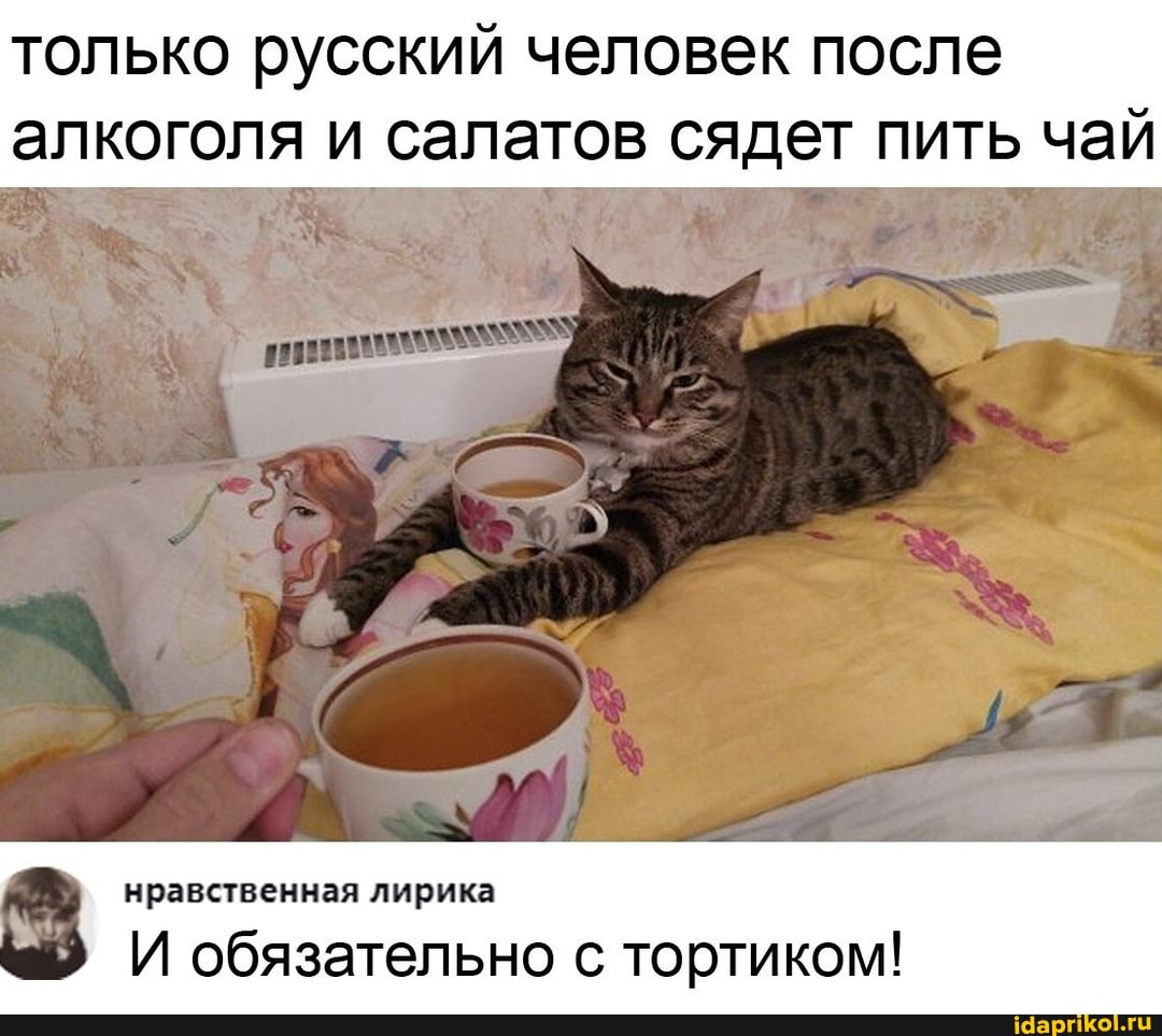 только русский человек после
алкоголя и салатов сядет пить чай
нравственная лирика
обязательно с тортиком!