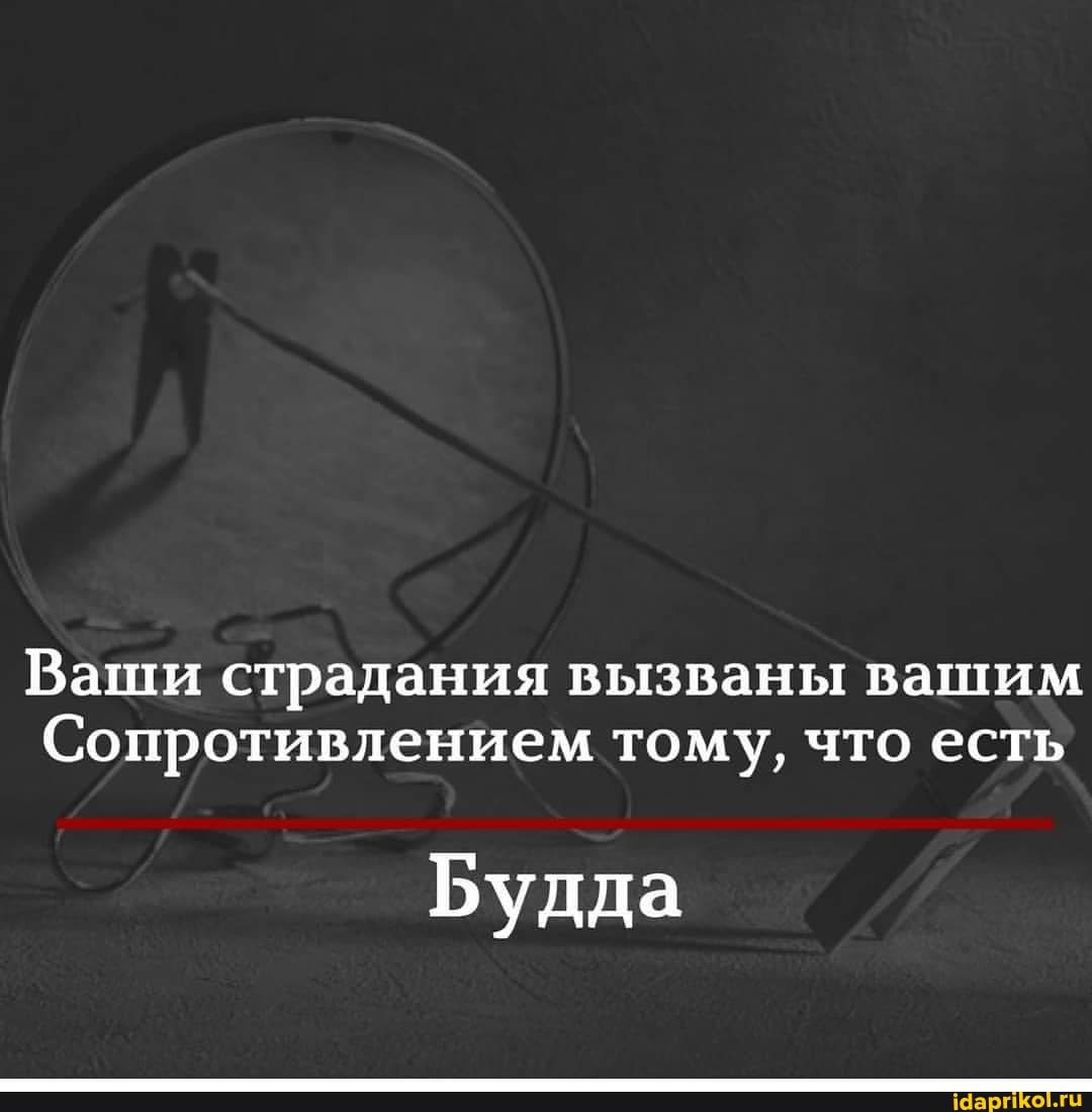 Ваши страдания вызваны вашим
Сопротивлением тому, что есть
Будда