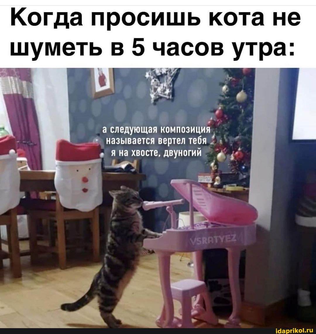 Когда просишь кота не шуметь в 5 часов утра:
а следующая композиция
Называется вертел тебя
яна хвосте, двуногий