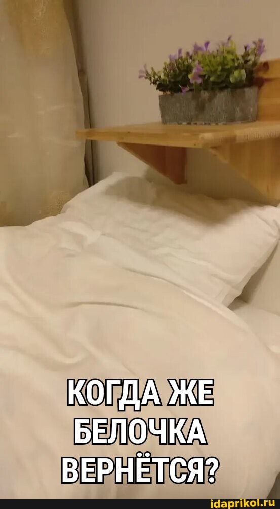 КОГДА ЖЕ БЕЛОЧКА ВЕРНЁТСЯ?