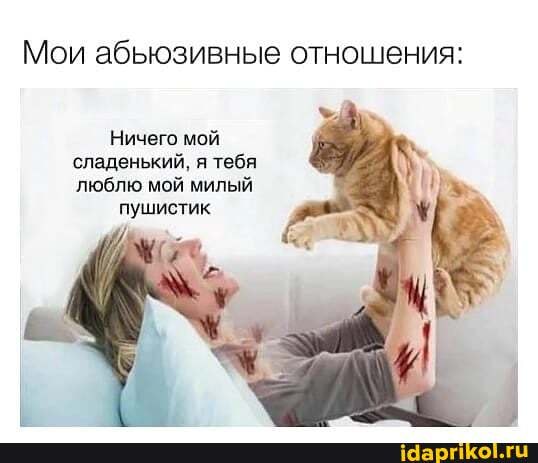 Мои абьюзивные отношения:
Ничего мой сладенький, я тебя люблю мой милый пушистик