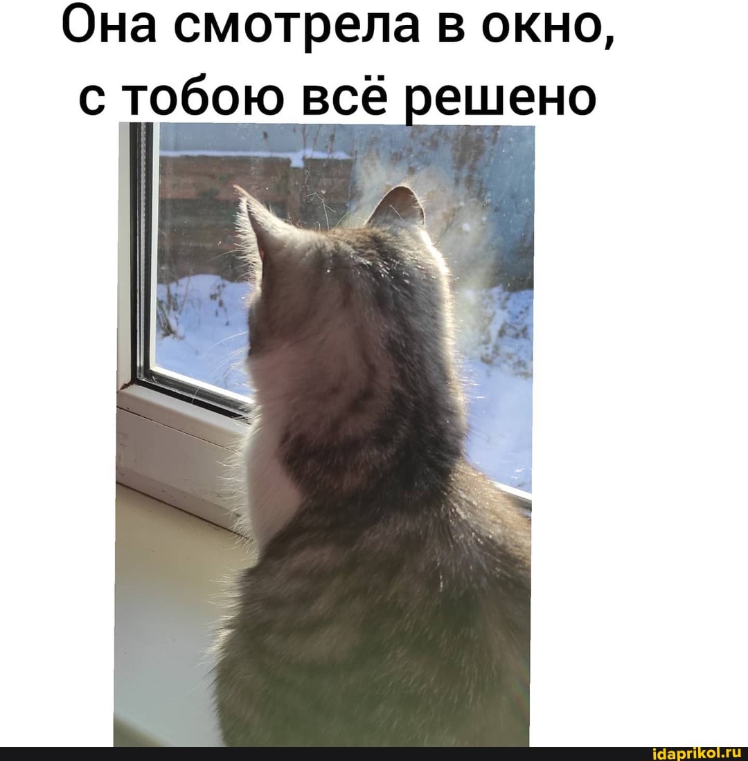 Она смотрела в окно, тобою всё решено