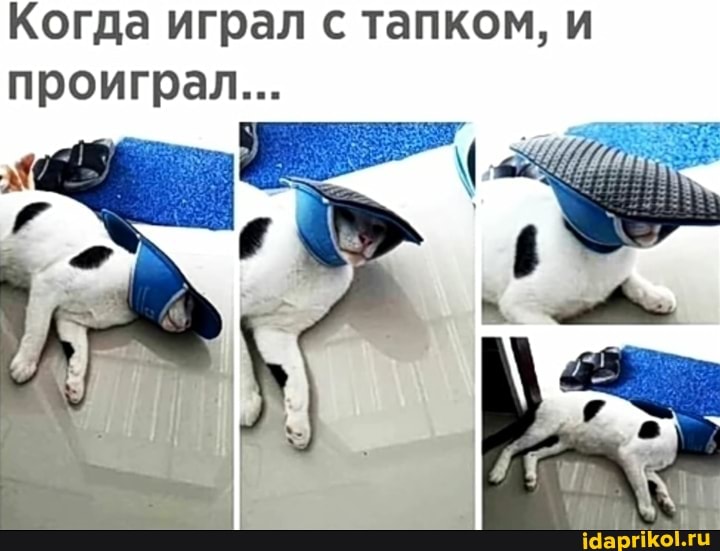 Когда играл с тапком, и проиграл...