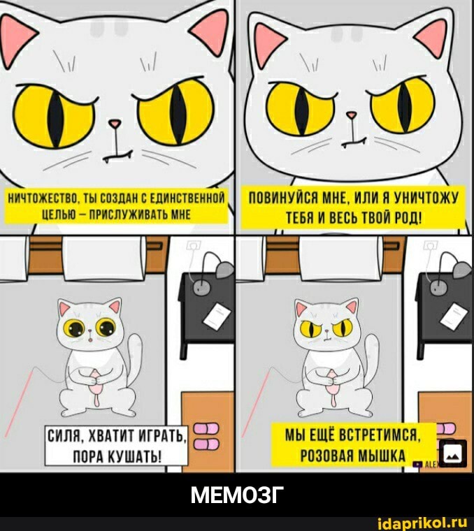 ПОВИНУЙСЯ МНЕ, ИЛИ Я УНИЧТОЖУ ТЕБЯ И ВЕСЬ ТВОЙ РОД!
НИЧТОЖЕСТВО, ТЫ СОЗДАН С ЕДИНСТВЕННОЙ ЦЕЛЬЮ - ПРИСЛУЖИВАТЬ МНЕ
МЫ ЕЩЁ ВСТРЕТИМСЯ,
РОЗОВАЯ МЫШКА
МЕМОЗГ
СИЛЯ, ХВАТИТ ИГРАТЬ,
ПОРА КУШАТЬ! - МЕМОЗГ