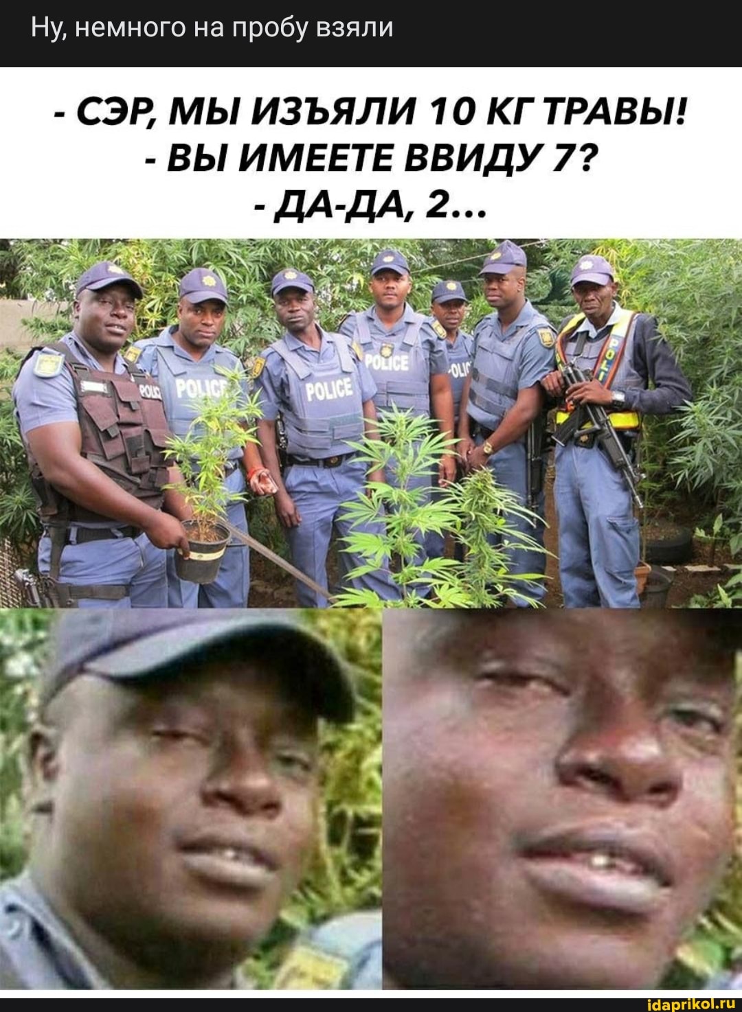 Ну, немного на пробу взяли
- СЭР, МЫ ИЗЪЯЛИ 10 КГ ТРАВЫ!
- ВЫ ИМЕЕТЕ ВВИДУ 7?
ДА-ДА,