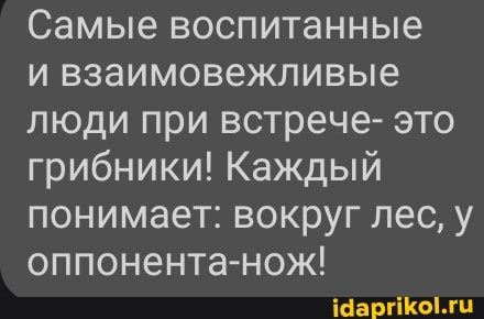Самые воспитанные
и взаимовежливые люди при встрече- это грибники! Каждый понимает: вокруг лес, у
оппонента-нож!