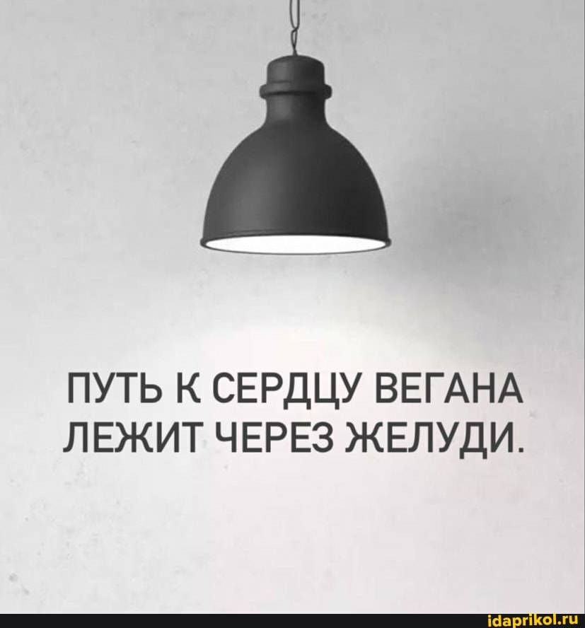 ПУТЬ К СЕРДЦУ ВЕГАНА ЛЕЖИТ ЧЕРЕЗ ЖЕЛУДИ.