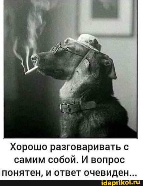 Хорошо разговаривать с самим собой. И вопрос понятен, и ответ очевиден...