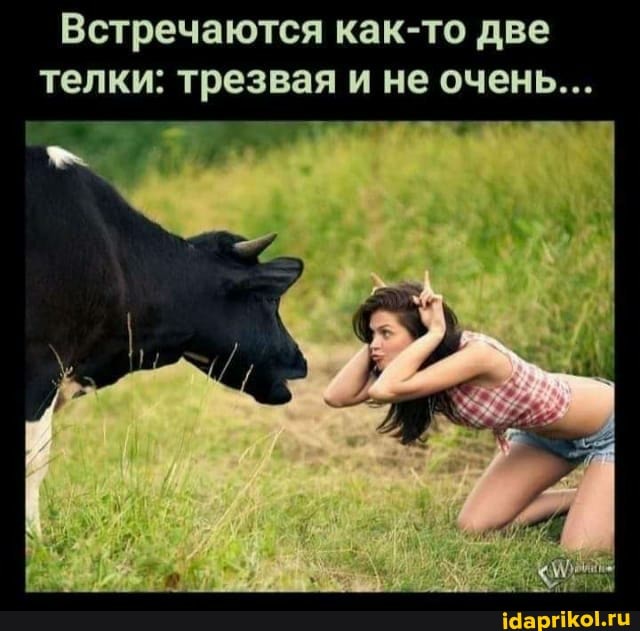 Встречаются как-то две
телки: трезвая и не очень...
