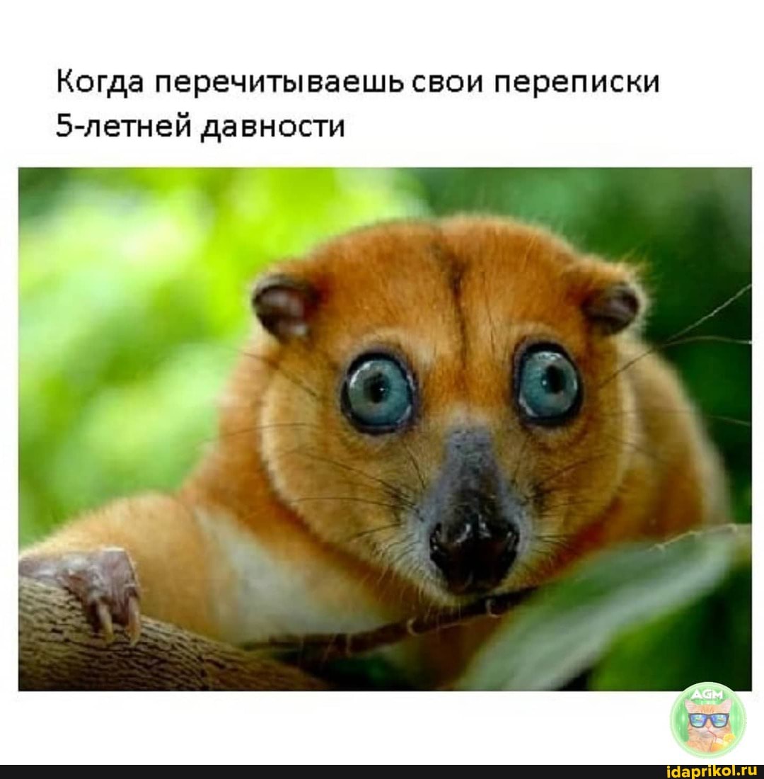 Когда перечитываешь свои переписки давности