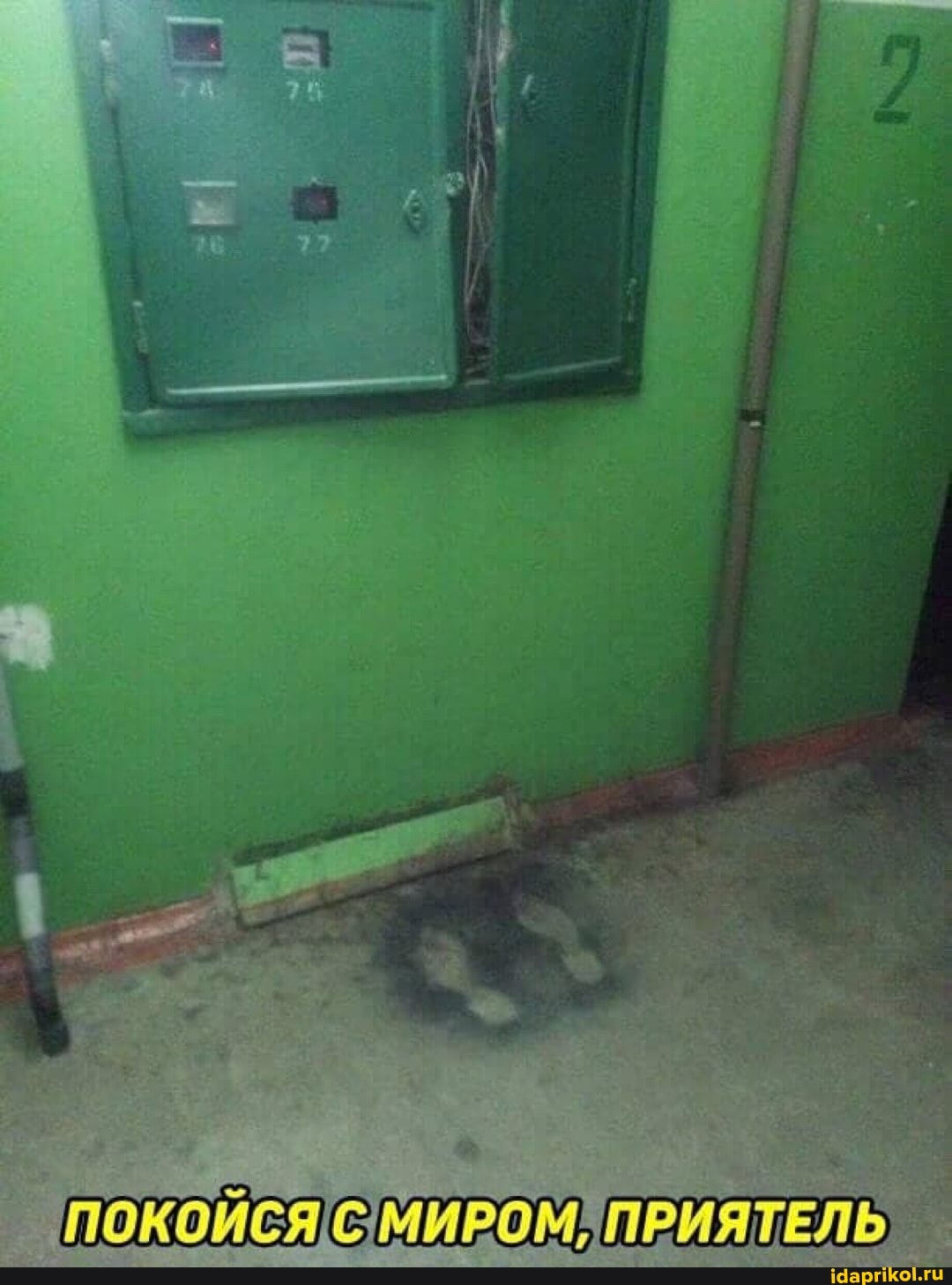 ПОКОЙСЯ ПРИЯТЕЛЬ
по