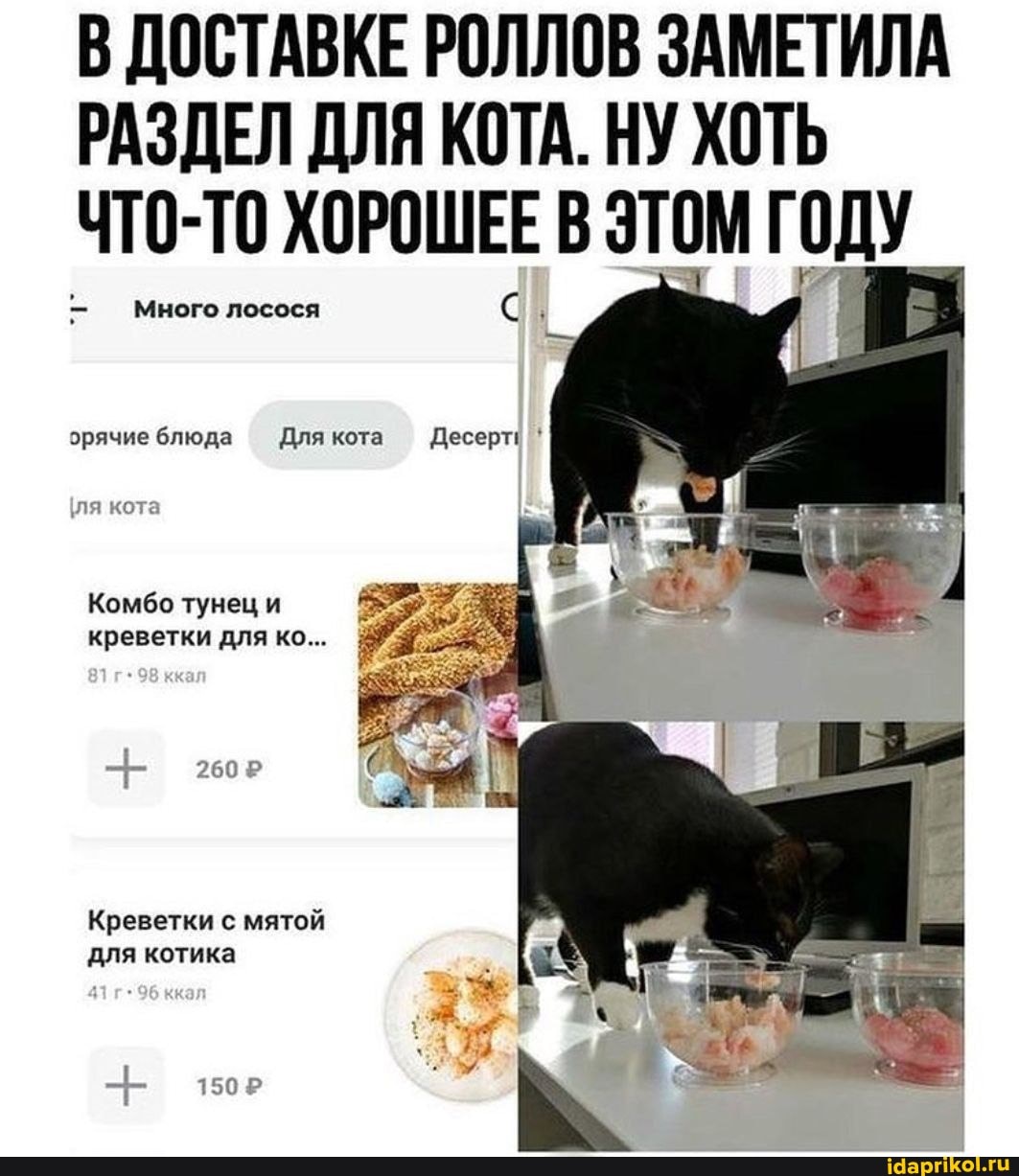 В ДОСТАВКЕ РОЛЛОВ ЗАМЕТИЛА РАЗДЕЛ ДЛЯ КОТА. НУ ХОТЬ ЧТО-ТО ХОРОШЕЕ В ЭТОМ ГОДУ
Много лосося
орячие блюда Для кота
кота
Комбо тунец и креветки для ко...
Креветки с мятой для котика