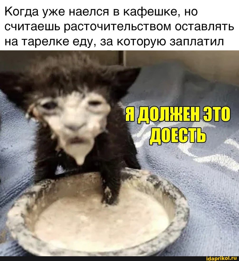 Когда уже наелся в кафешке, но считаешь расточительством оставлять на тарелке еду, за которую заплатил