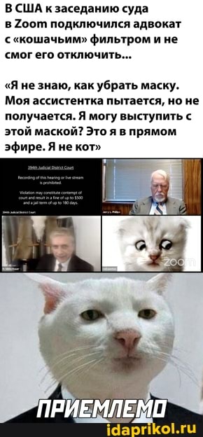 В США к заседанию суда в Роот подключился адвокат
"кошачьим" фильтром и не смог его отключить...
"Я не знаю, как убрать маску.
Моя ассистентка пытается, но не получается. Я могу выступить с этой маской? Это я в прямом эфире. Я не кот"
ПРИЕМЛЕМП