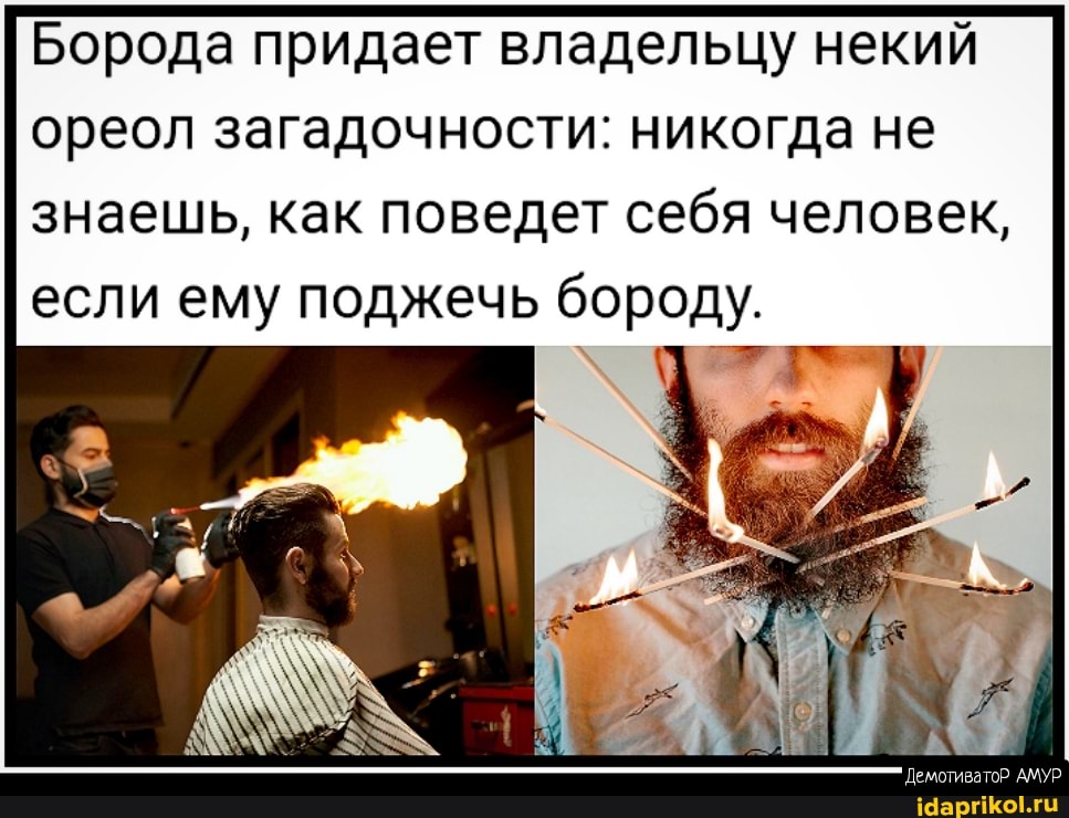 Борода придает владельцу некий ореол загадочности: никогда не знаешь, как поведет себя человек, если ему поджечь бороду.