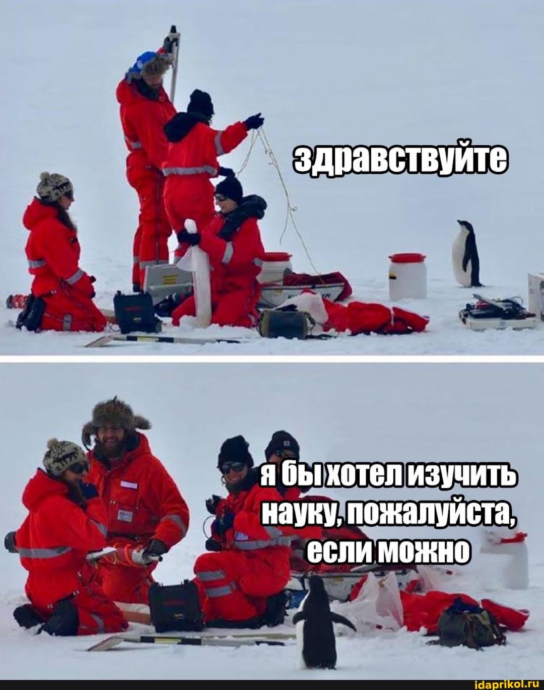 здравствуйте
бы хотел изучить науку, пожалуйста, если можно