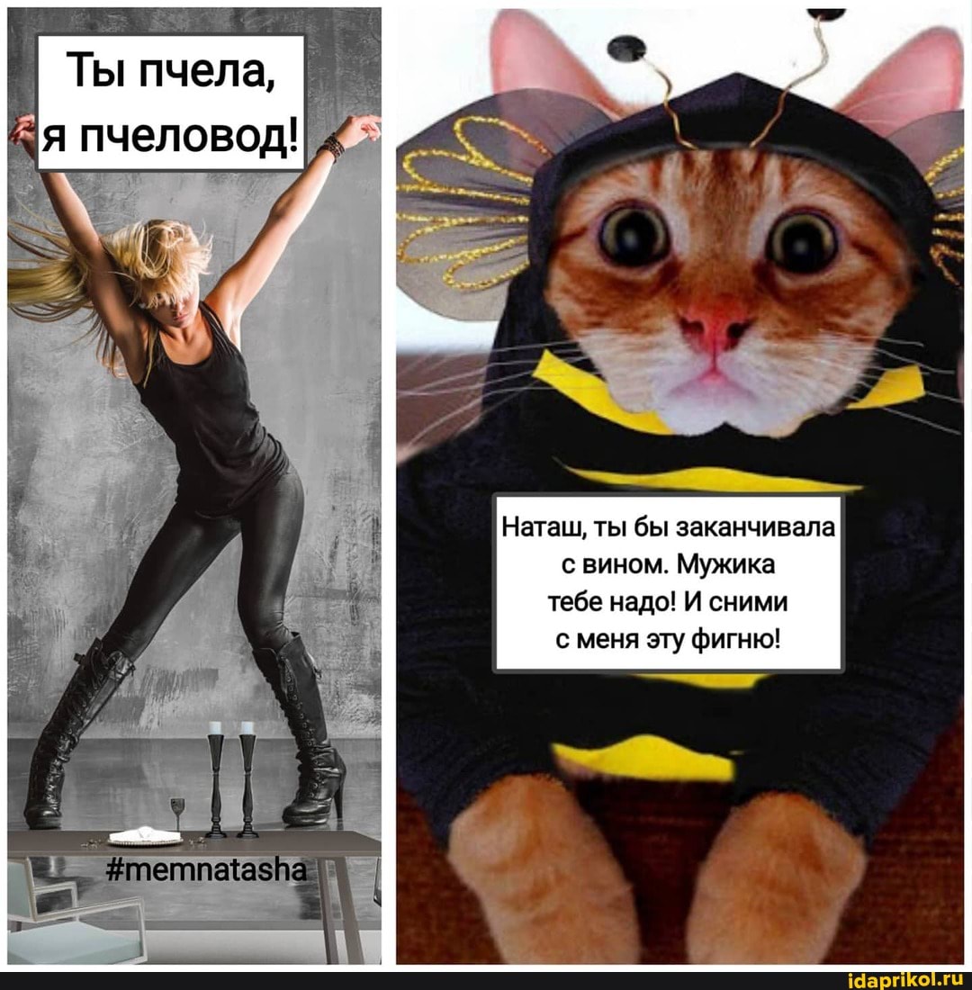 Ты пчела,
Наташ, ты бы заканчивала с вином. Мужика тебе надо! И сними с меня эту фигню!