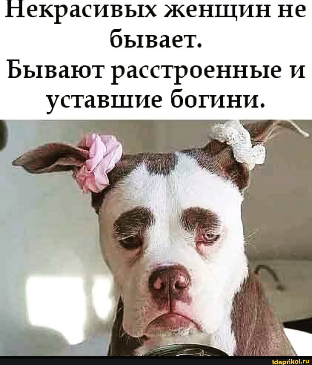 Пекрасивых женщин не бывает.
Бывают расстроенные и уставшие богини.
