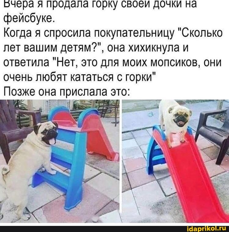 очера я продала горку своеи дочки на фейсбуке.
Когда я спросила покупательницу "Сколько лет вашим детям?", она хихикнула и ответила "Нет, это для моих мопсиков, они очень любят кататься с горки"
Позже она прислала это: