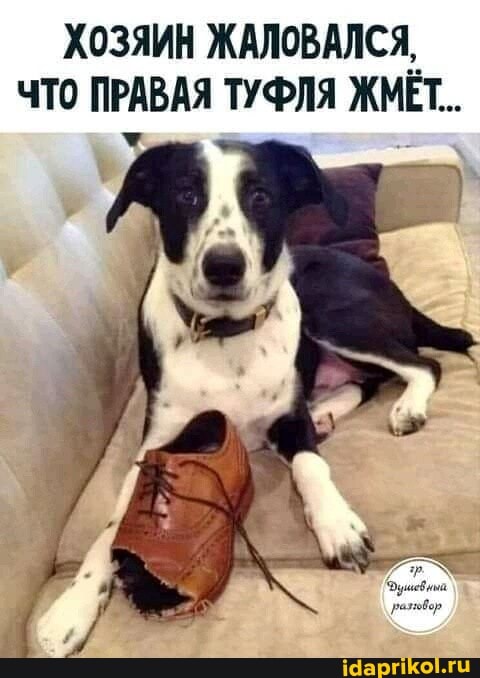 ХОЗЯИН ЖАЛОВАЛСЯ,
ТО ПРАВАЯ ТУФЛЯ ЖМЁТ..