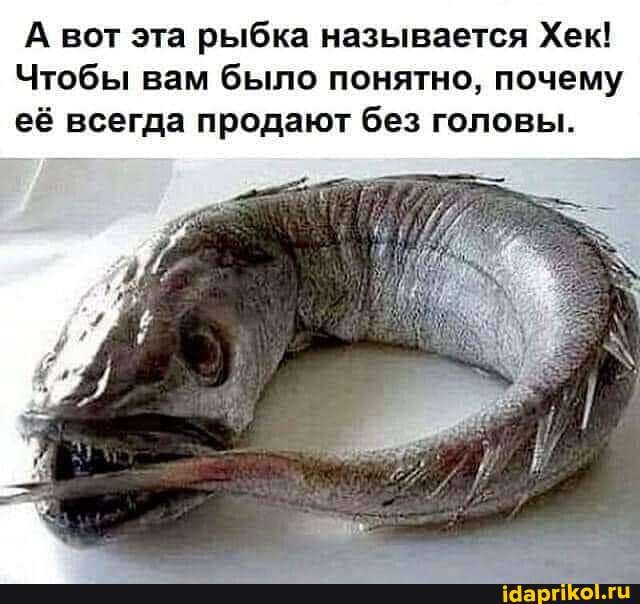 А вот эта рыбка называется Хек!
Чтобы вам было понятно, почему её всегда продают без головы.