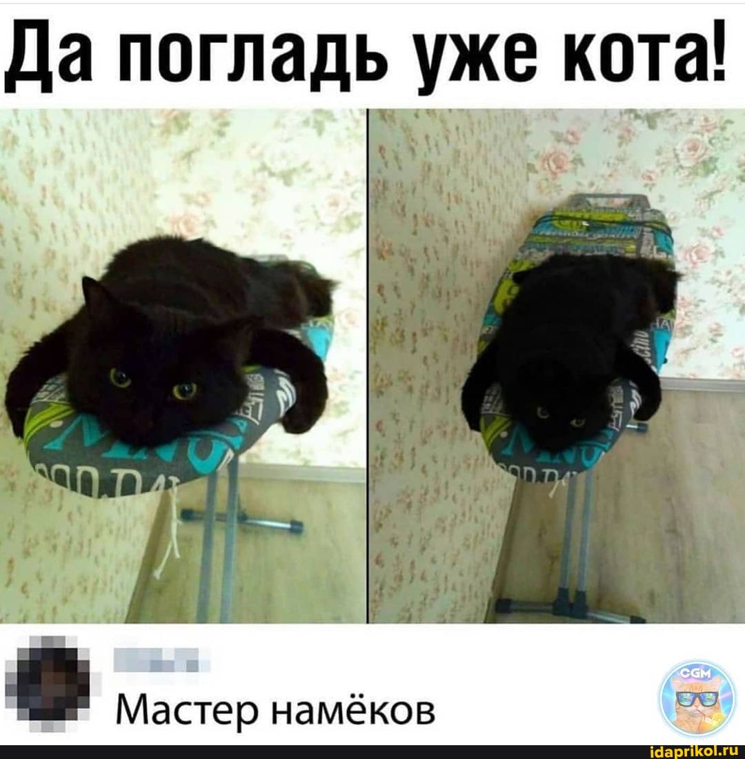 Да погладь уже кота!
Мастер намёков