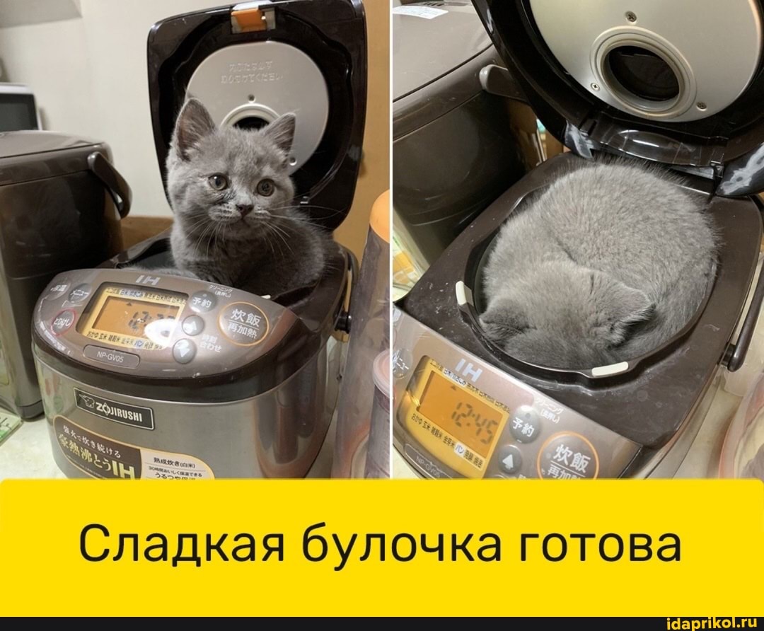 Сладкая булочка готова