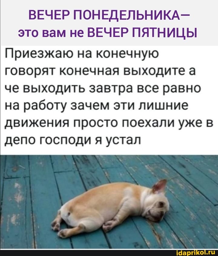 ВЕЧЕР ПОНЕДЕЛЬНИКА- это вам не ВЕЧЕР ПЯТНИЦЫ
Приезжаю на конечную говорят конечная выходите а че выходить завтра все равно на работу зачем эти лишние движения просто поехали уже в депо господи я устал