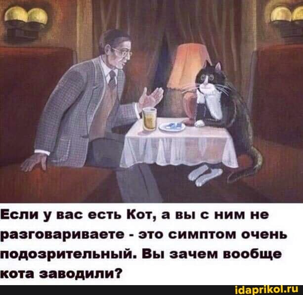 Если у вас есть Кот, а вы с ним не разговариваете - это симптом очень подозрительный. Вы зачем вообще кота заводили?