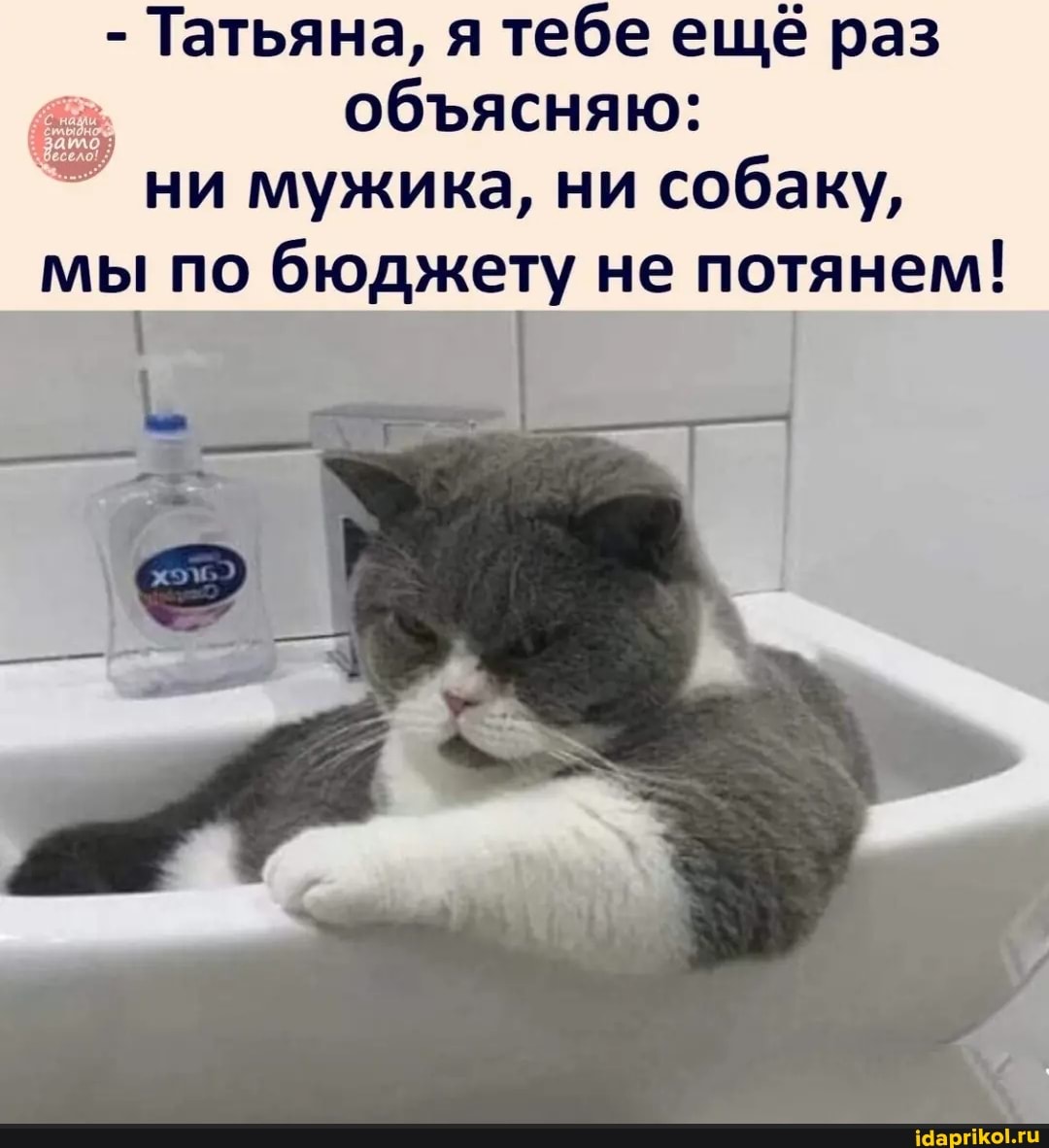 - Татьяна, я тебе ещё раз обясняю: ни мужика, ни собаку,
мы по бюджету не потянем!